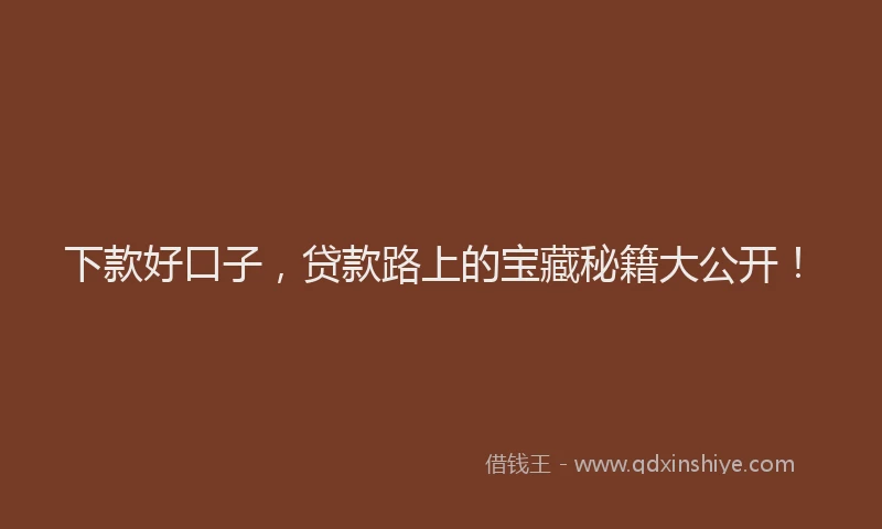 下款好口子，贷款路上的宝藏秘籍大公开！