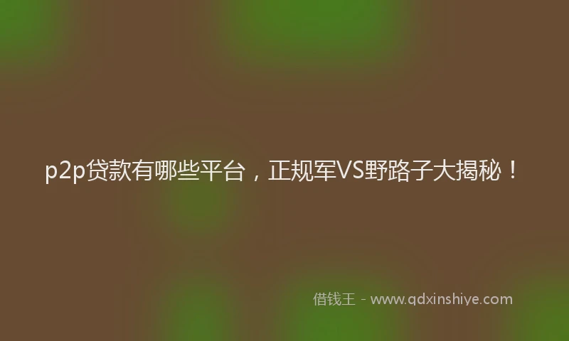 p2p贷款有哪些平台，正规军VS野路子大揭秘！