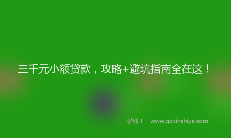 三千元小额贷款，攻略+避坑指南全在这！