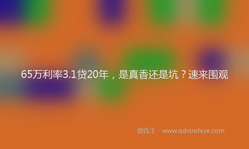 65万利率3.1贷20年，是真香还是坑？速来围观