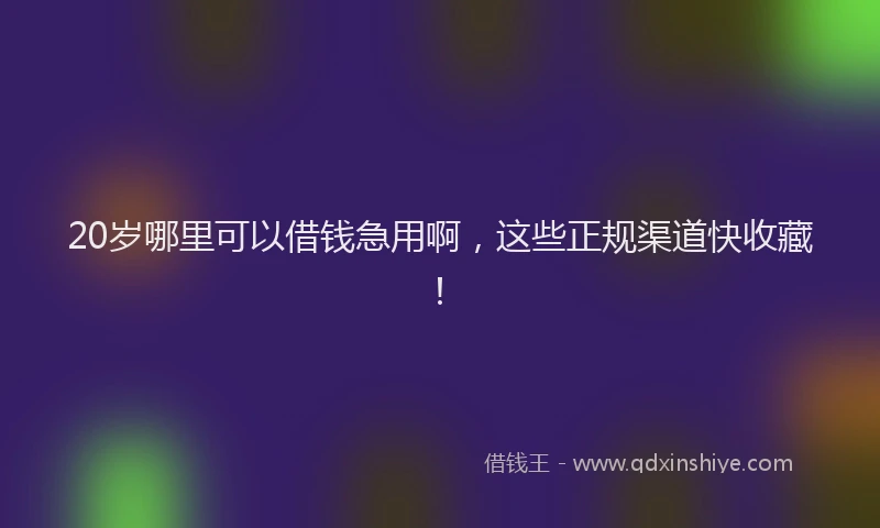 20岁哪里可以借钱急用啊，这些正规渠道快收藏！