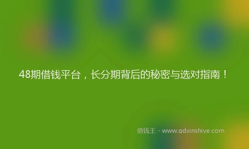 48期借钱平台，长分期背后的秘密与选对指南！