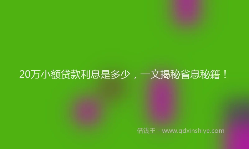 20万小额贷款利息是多少，一文揭秘省息秘籍！