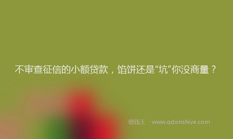 不审查征信的小额贷款，馅饼还是“坑”你没商量？