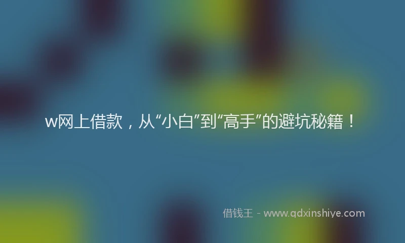 w网上借款，从“小白”到“高手”的避坑秘籍！