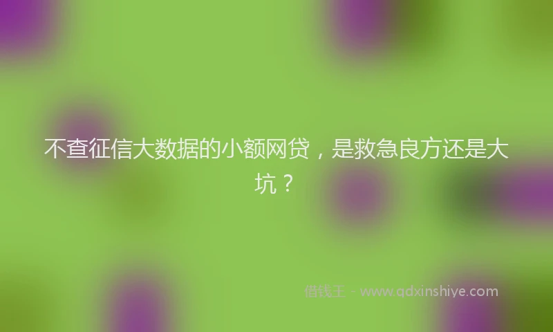 不查征信大数据的小额网贷，是救急良方还是大坑？