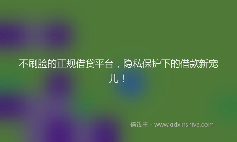 不刷脸的正规借贷平台，隐私保护下的借款新宠儿！