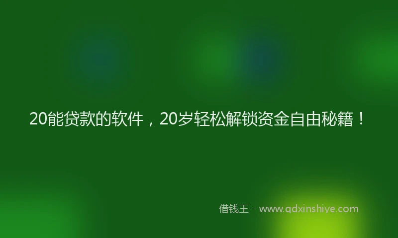20能贷款的软件，20岁轻松解锁资金自由秘籍！