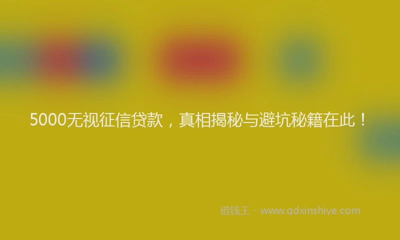 5000无视征信贷款，真相揭秘与避坑秘籍在此！