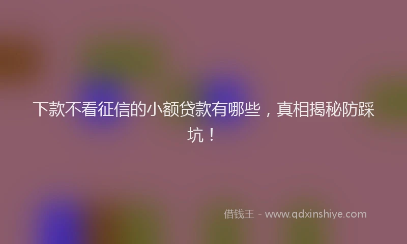 下款不看征信的小额贷款有哪些，真相揭秘防踩坑！