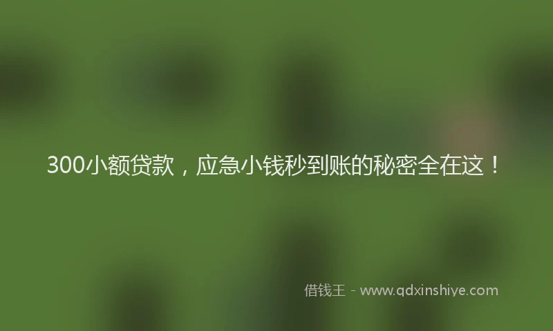 300小额贷款，应急小钱秒到账的秘密全在这！