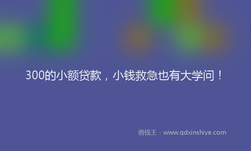 300的小额贷款，小钱救急也有大学问！