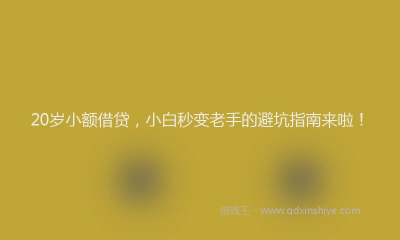 20岁小额借贷，小白秒变老手的避坑指南来啦！