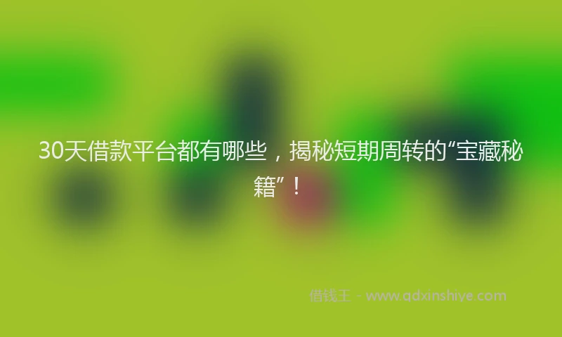30天借款平台都有哪些，揭秘短期周转的“宝藏秘籍”！