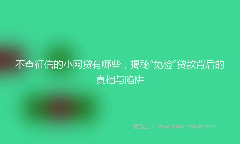 不查征信的小网贷有哪些，揭秘“免检”贷款背后的真相与陷阱