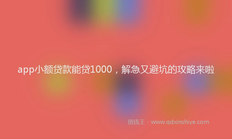 app小额贷款能贷1000，解急又避坑的攻略来啦