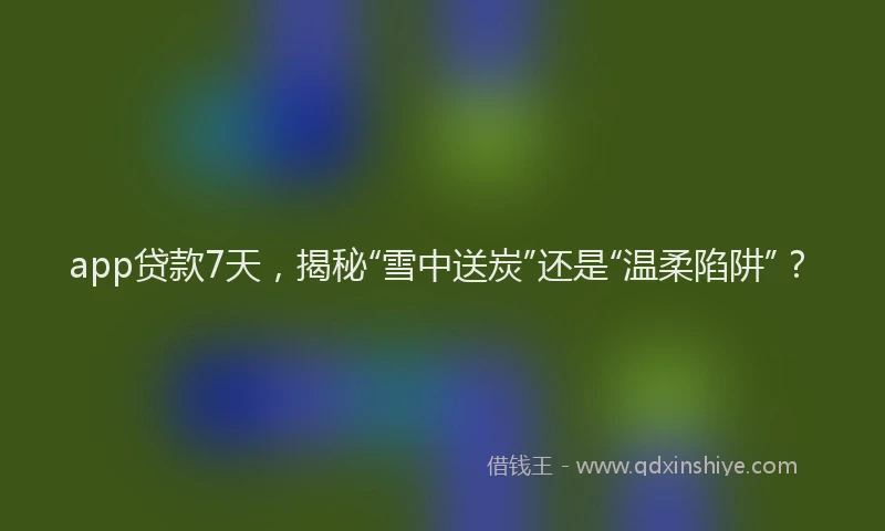 app贷款7天，揭秘“雪中送炭”还是“温柔陷阱”？