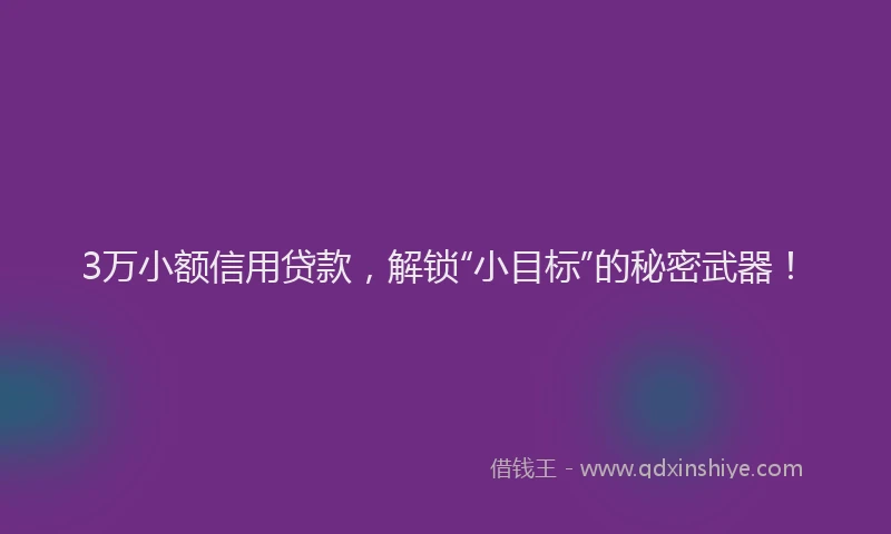 3万小额信用贷款，解锁“小目标”的秘密武器！