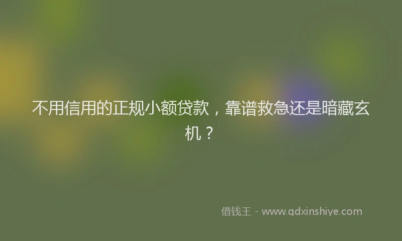 不用信用的正规小额贷款，靠谱救急还是暗藏玄机？