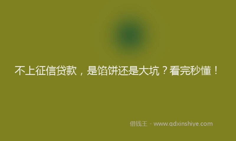 不上征信贷款，是馅饼还是大坑？看完秒懂！