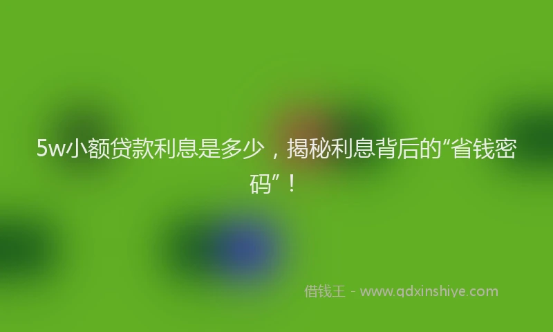 5w小额贷款利息是多少，揭秘利息背后的“省钱密码”！