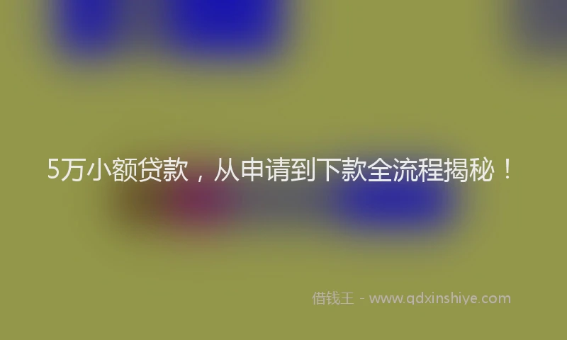 5万小额贷款，从申请到下款全流程揭秘！