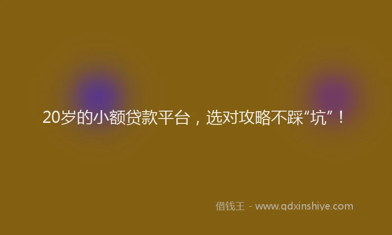 20岁的小额贷款平台,选对攻略不踩“坑”!