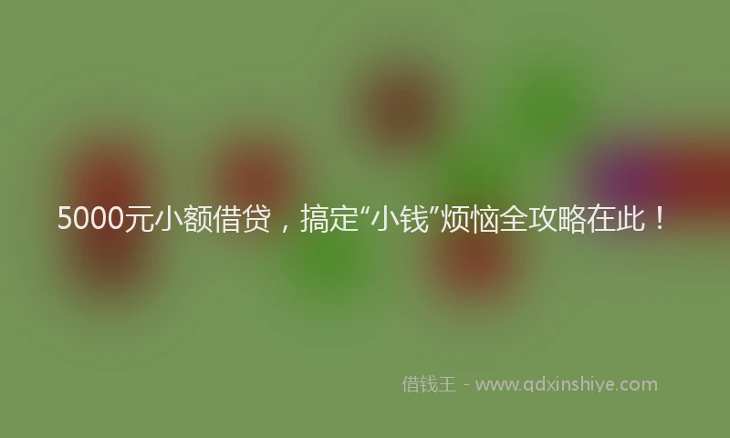 5000元小额借贷，搞定“小钱”烦恼全攻略在此！
