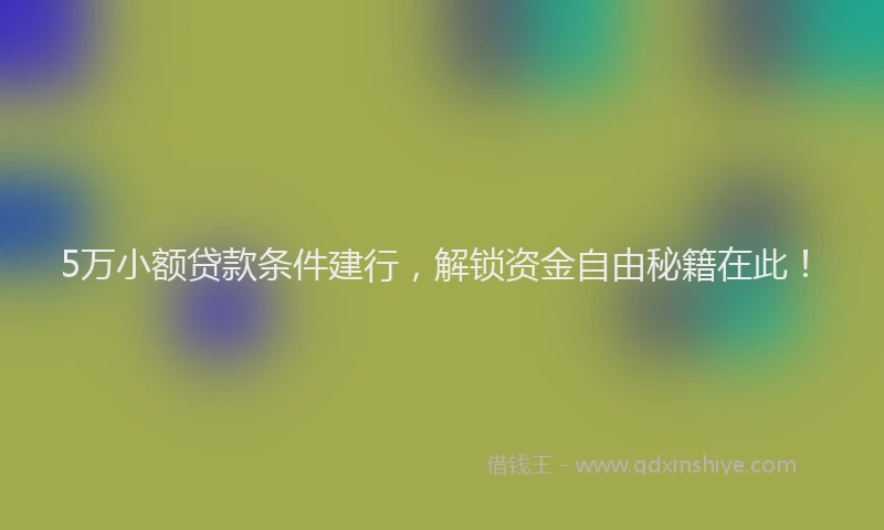 5万小额贷款条件建行，解锁资金自由秘籍在此！
