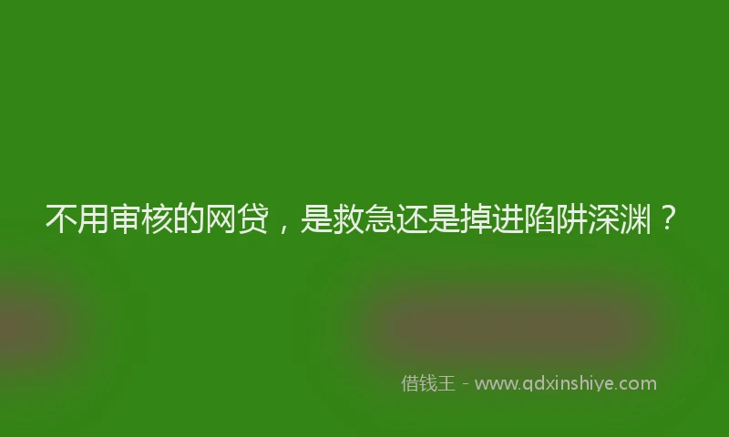 不用审核的网贷，是救急还是掉进陷阱深渊？