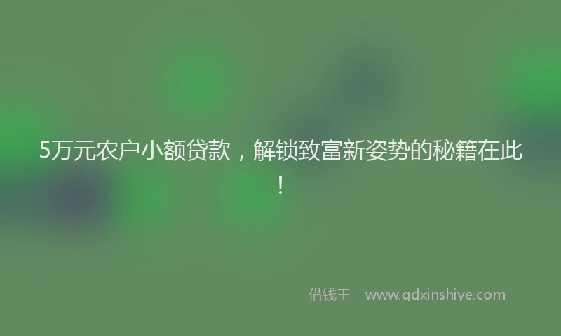 5万元农户小额贷款，解锁致富新姿势的秘籍在此！