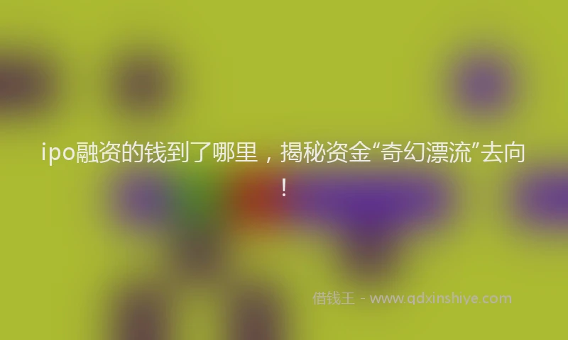 ipo融资的钱到了哪里，揭秘资金“奇幻漂流”去向！
