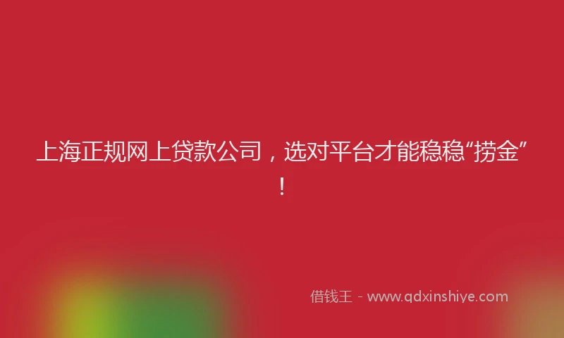 上海正规网上贷款公司，选对平台才能稳稳“捞金”！