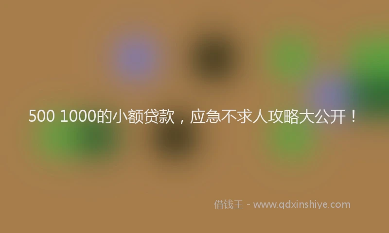 500 1000的小额贷款，应急不求人攻略大公开！