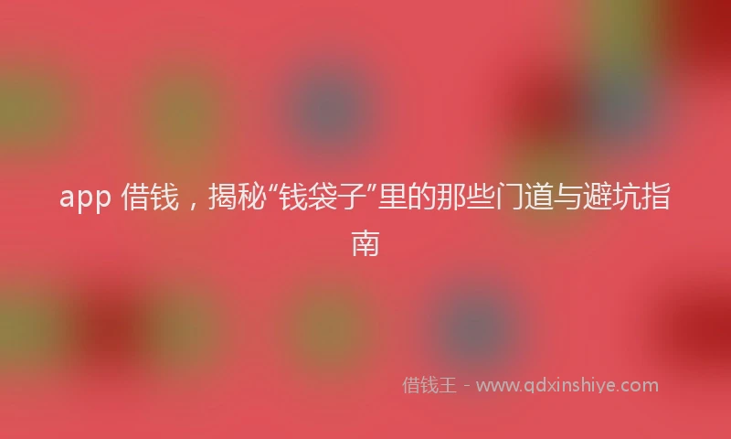 app 借钱，揭秘“钱袋子”里的那些门道与避坑指南