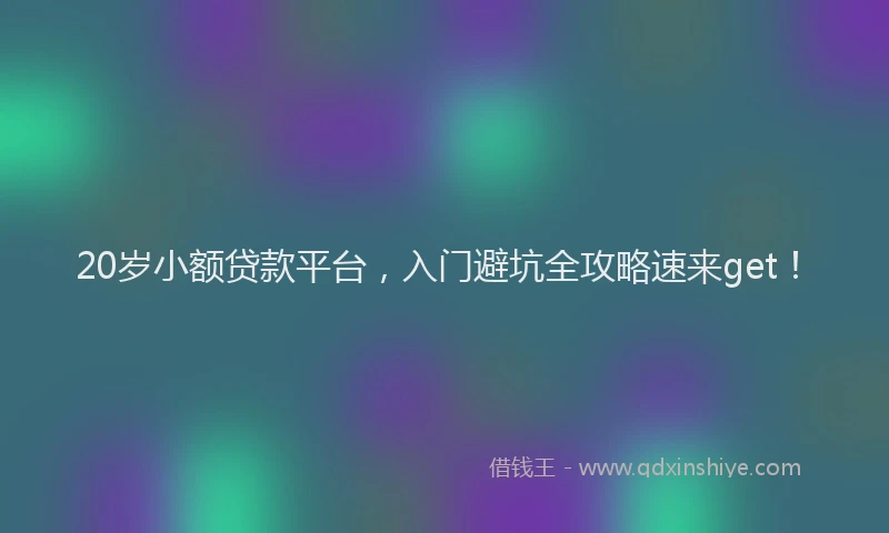 20岁小额贷款平台，入门避坑全攻略速来get！