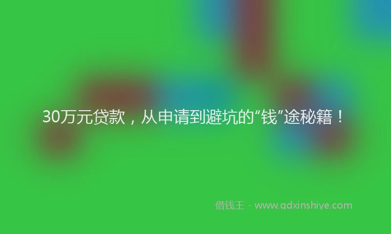 30万元贷款，从申请到避坑的“钱”途秘籍！