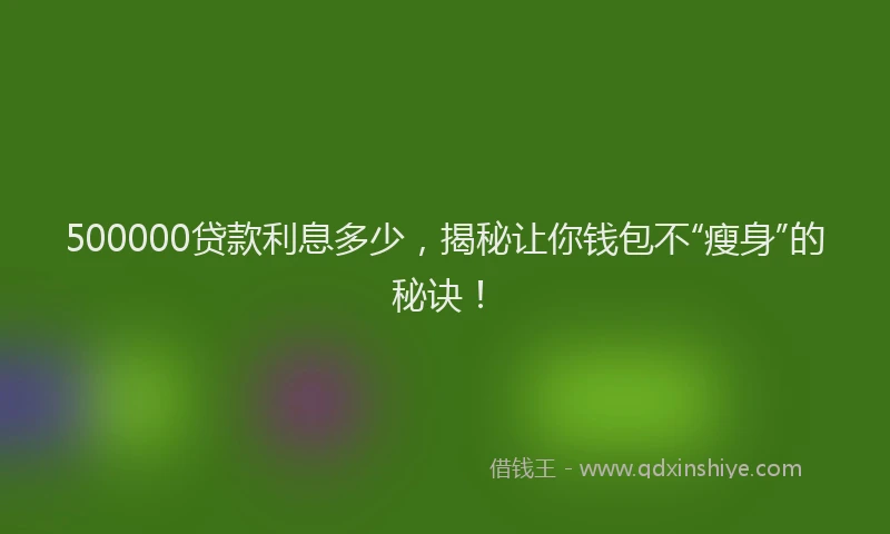 500000贷款利息多少，揭秘让你钱包不“瘦身”的秘诀！