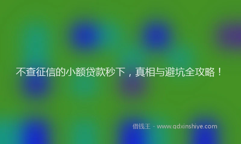 不查征信的小额贷款秒下，真相与避坑全攻略！