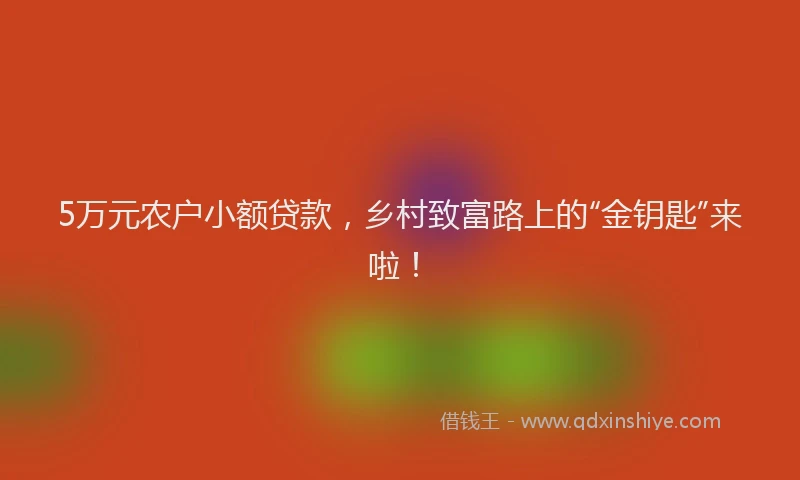 5万元农户小额贷款，乡村致富路上的“金钥匙”来啦！