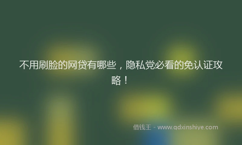 不用刷脸的网贷有哪些，隐私党必看的免认证攻略！