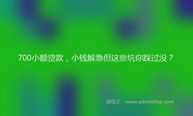 700小额贷款,小钱解急但这些坑你踩过没?
