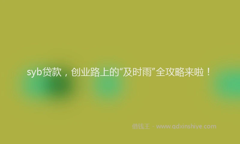 syb贷款，创业路上的“及时雨”全攻略来啦！
