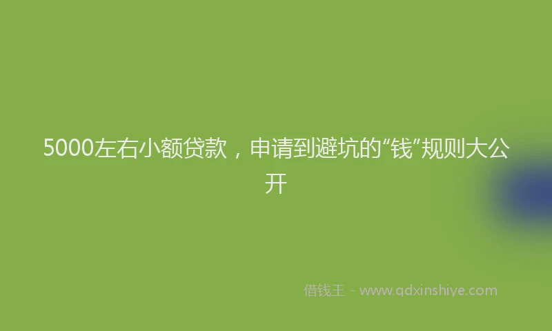 5000左右小额贷款，申请到避坑的“钱”规则大公开