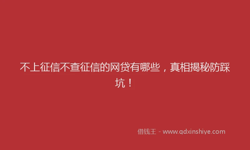 不上征信不查征信的网贷有哪些，真相揭秘防踩坑！