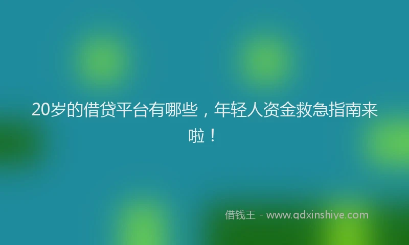 20岁的借贷平台有哪些，年轻人资金救急指南来啦！