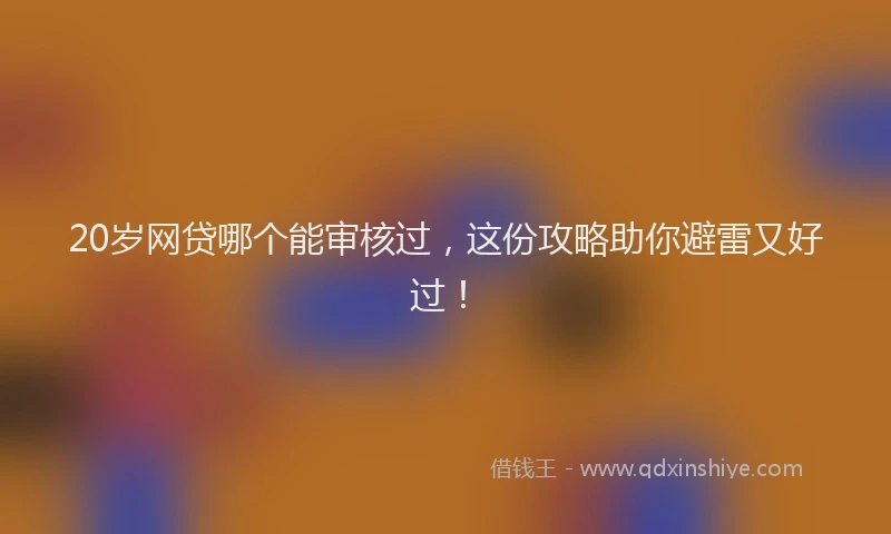 20岁网贷哪个能审核过，这份攻略助你避雷又好过！