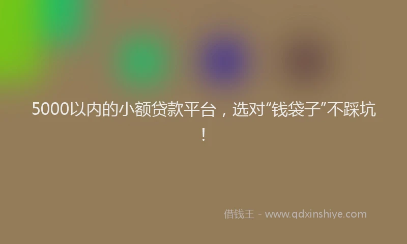 5000以内的小额贷款平台，选对“钱袋子”不踩坑！