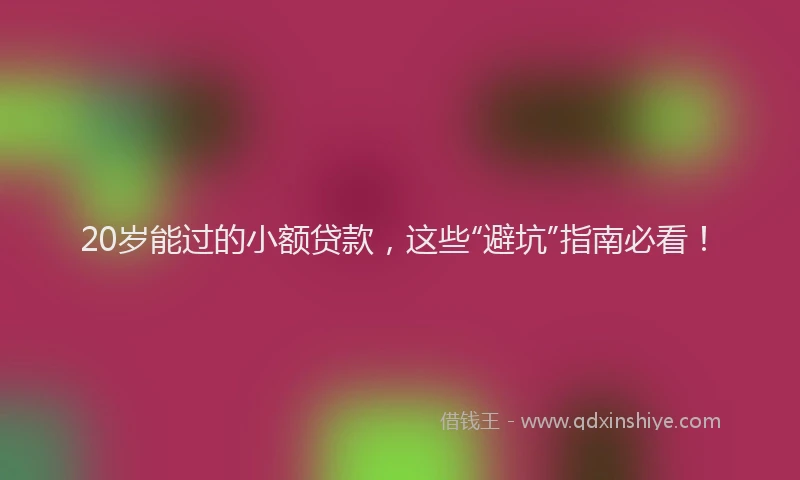 20岁能过的小额贷款，这些“避坑”指南必看！