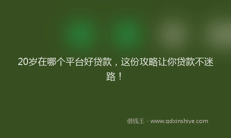 20岁在哪个平台好贷款，这份攻略让你贷款不迷路！